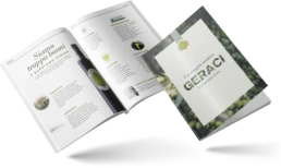 Mockup company profile Geraci