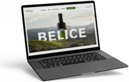 Mockup e-commerce Olio Geraci