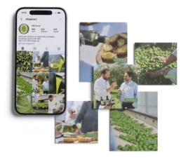 Mockup contenuti digitali per Olio Geraci